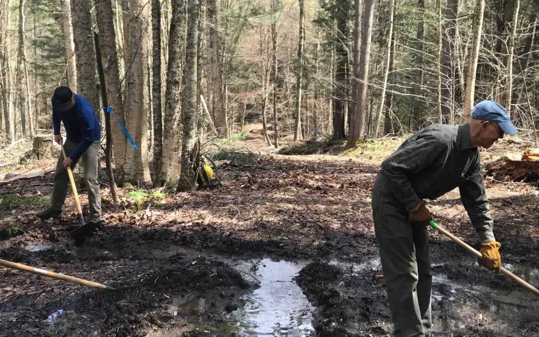 Become an STP Trail Steward!