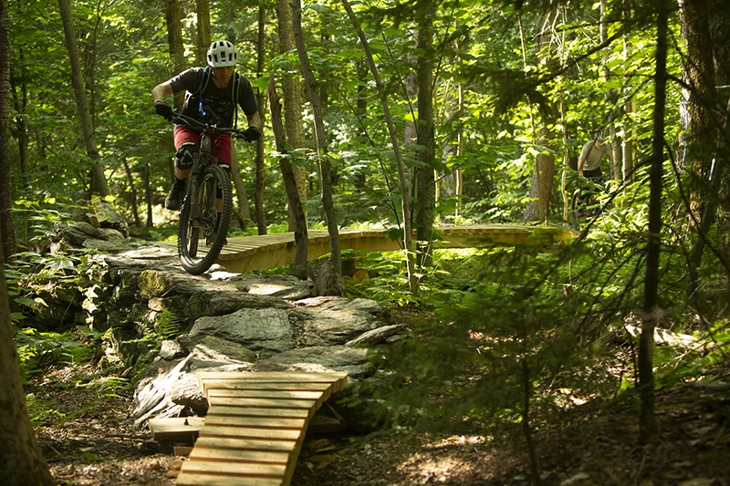 2022 Trail Survey Results