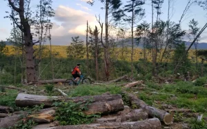 A mountain bike rider in Stowe VT